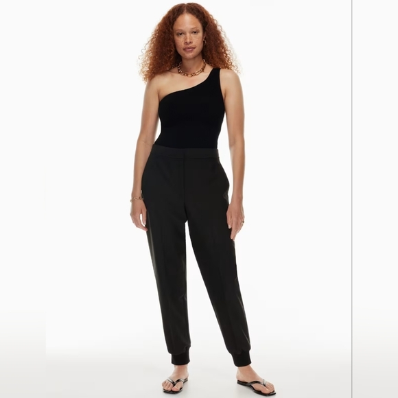 Aritzia Pants - Aritzia Babaton Allegory Jogger size 4 BNWT